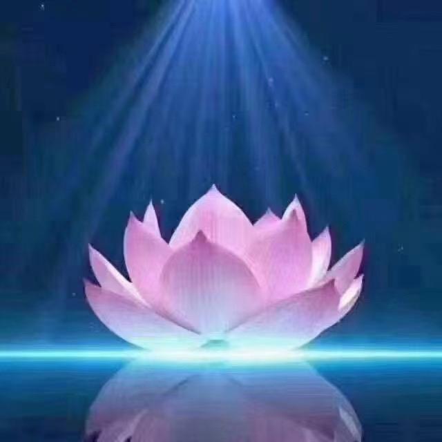 梵缇美学