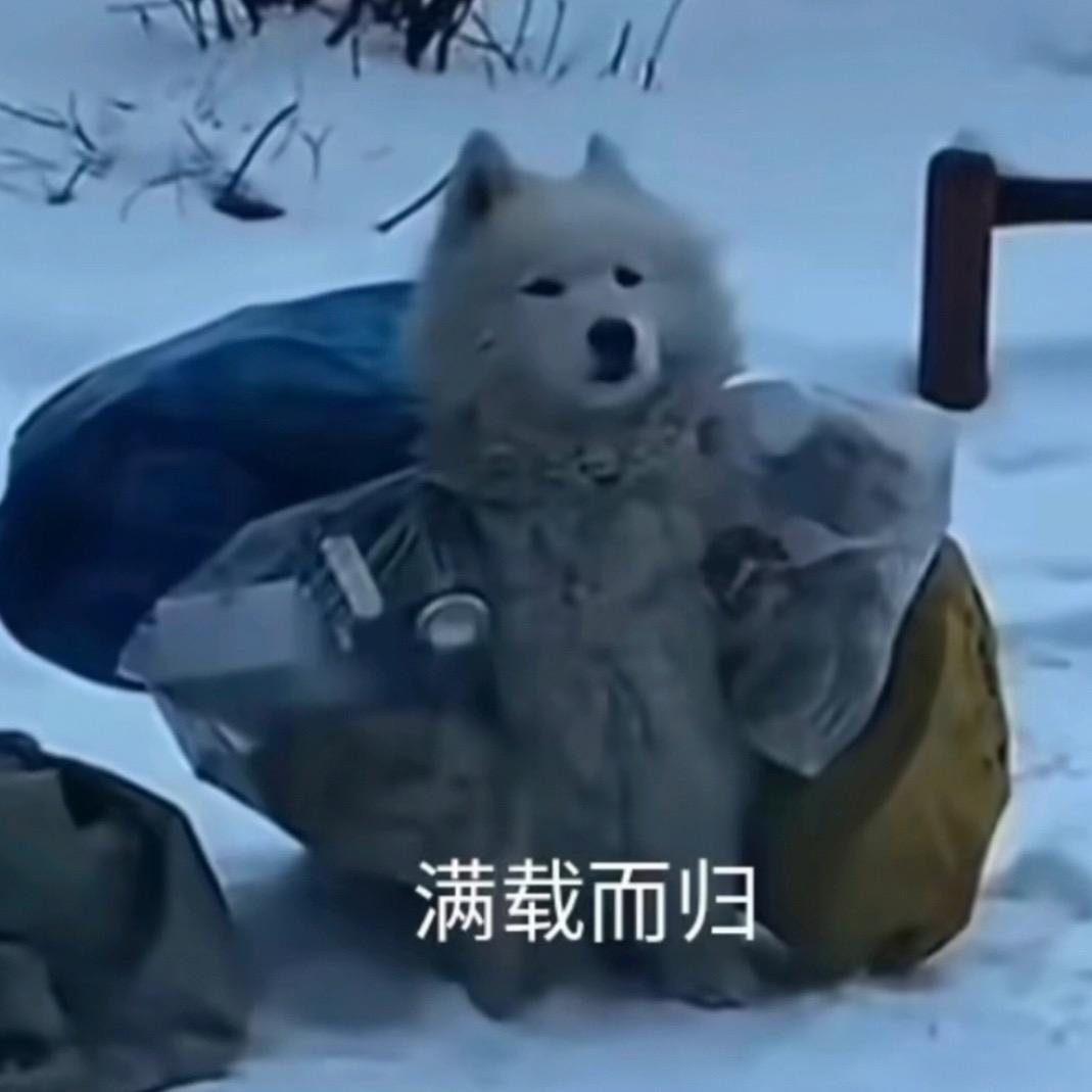 幸运MAX