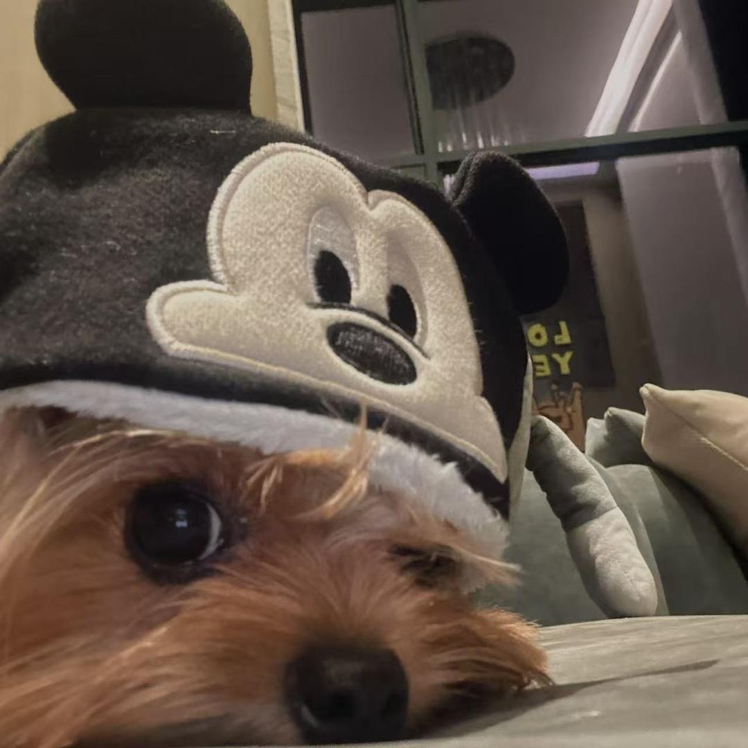 火玄ee