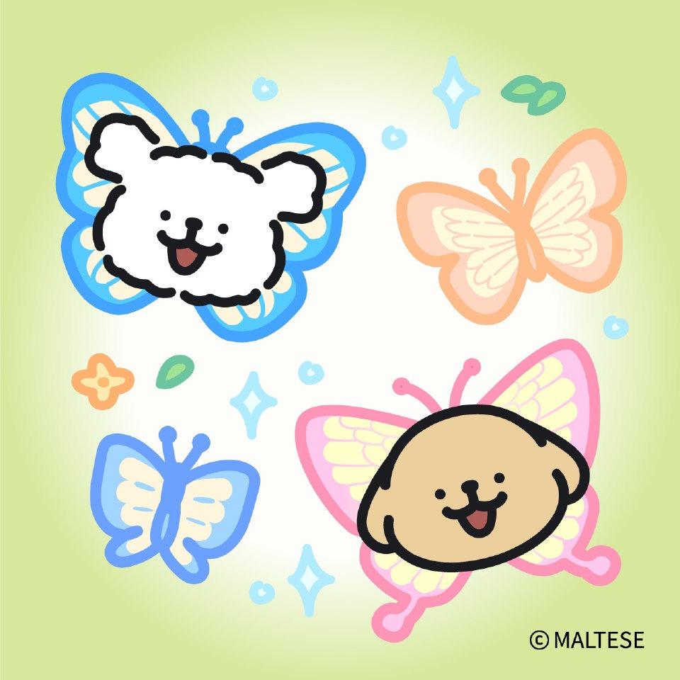 听雨的猫