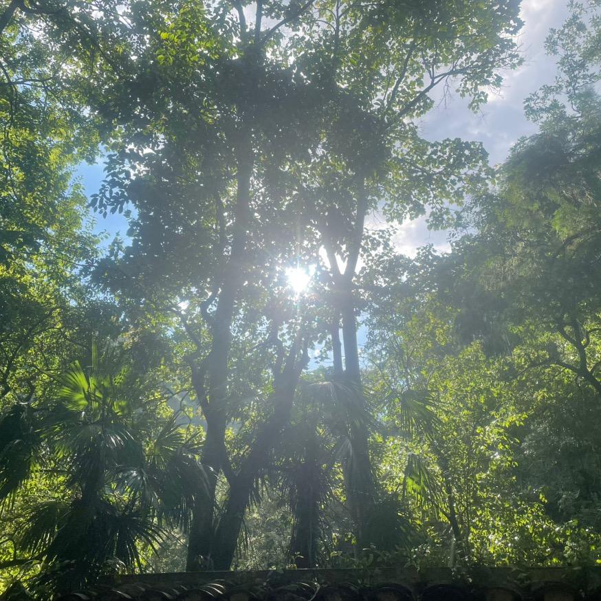 幸静肆号号播号