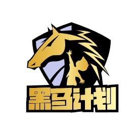 北京胜仁美育体育文化有限公司