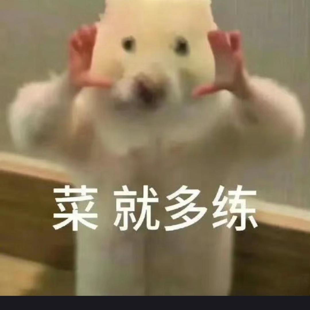 胖子上岸