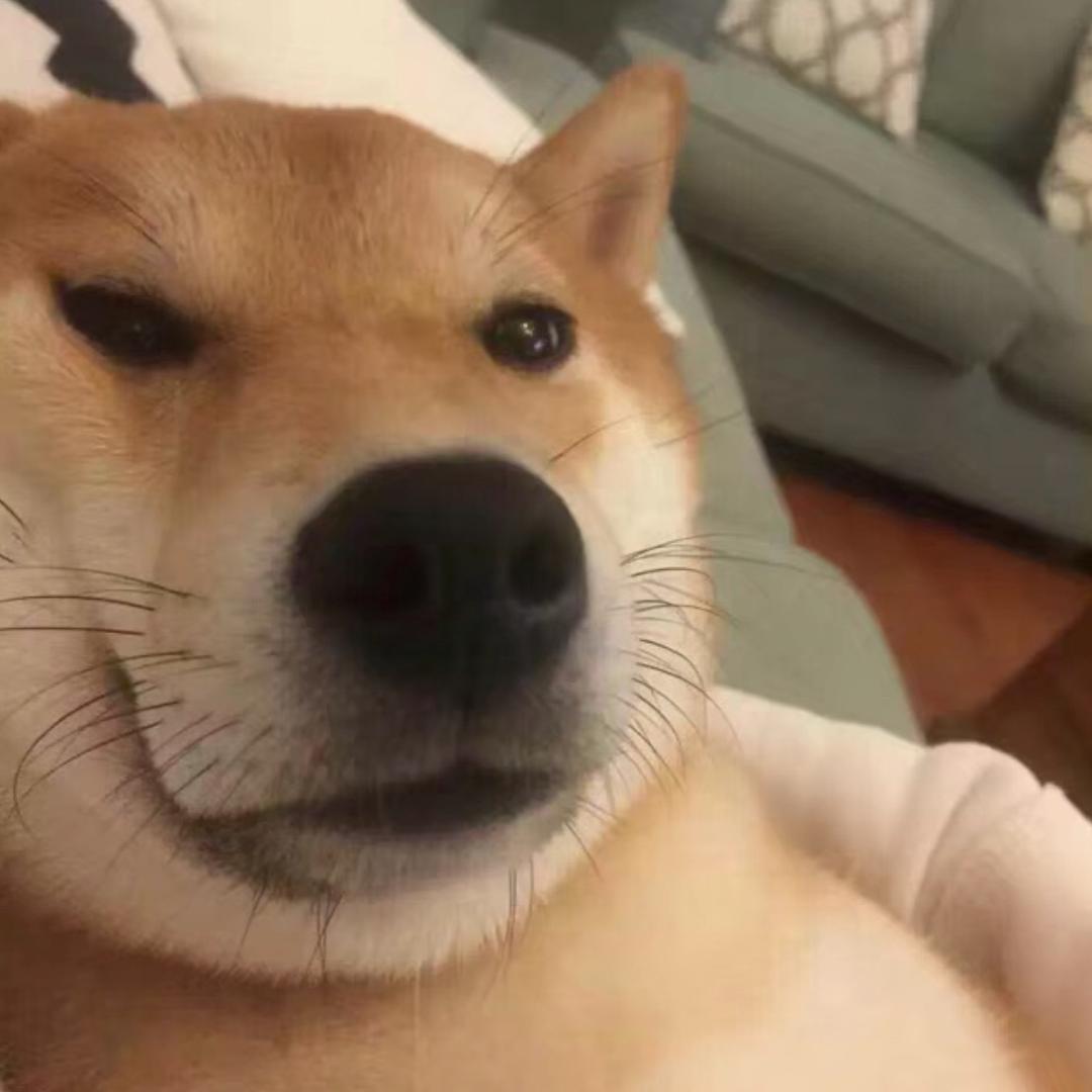 小夕➼弹幕游戏