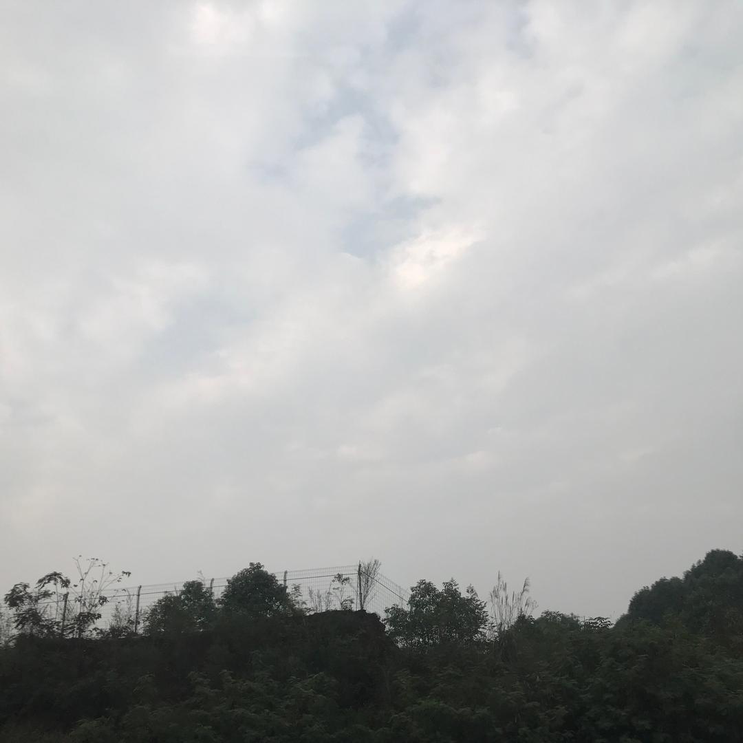 欣欣向荣丶