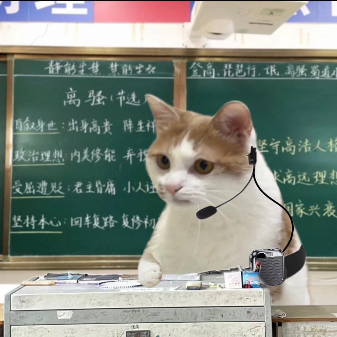 萧冒咪