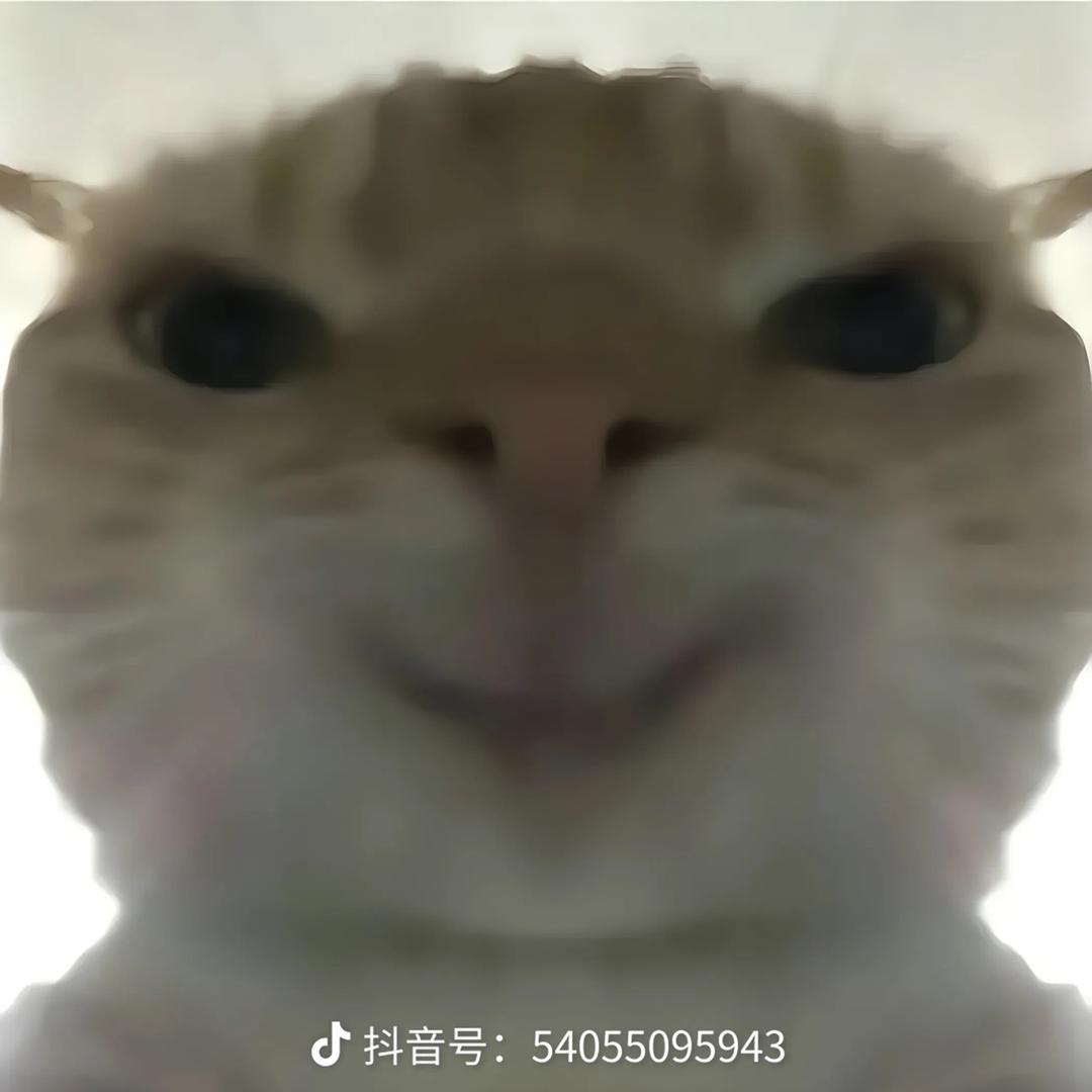粥粥(三角洲行动)