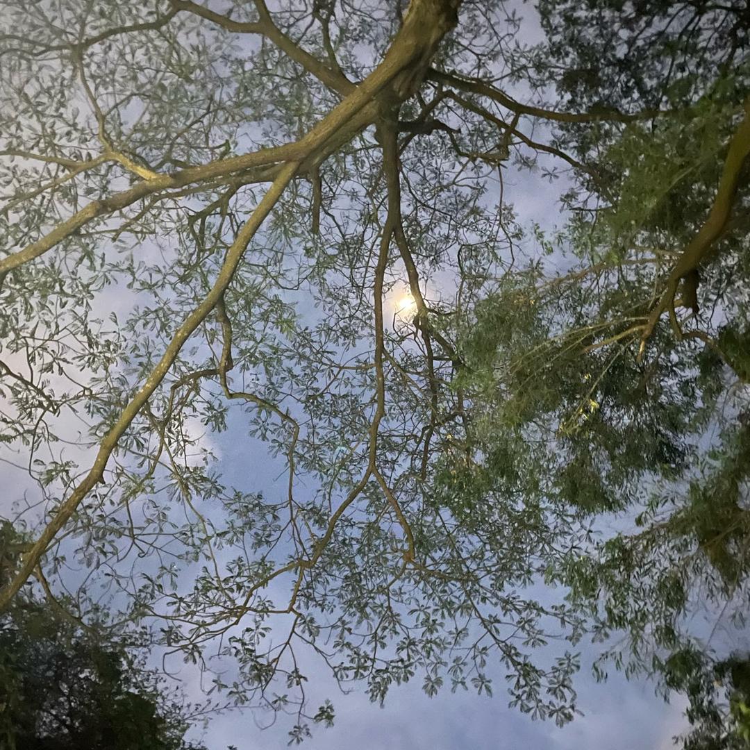 专业二手Cnc买卖¥廖生