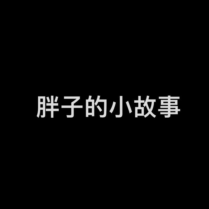 胖子的小故事