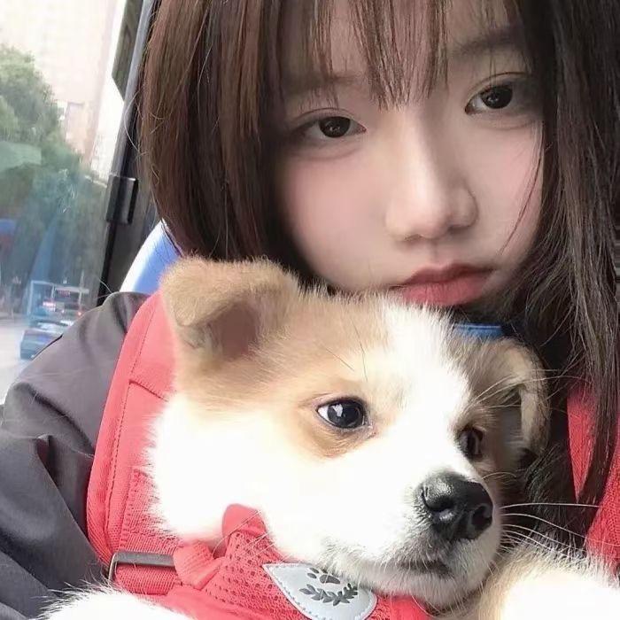 经纪人-丹丹