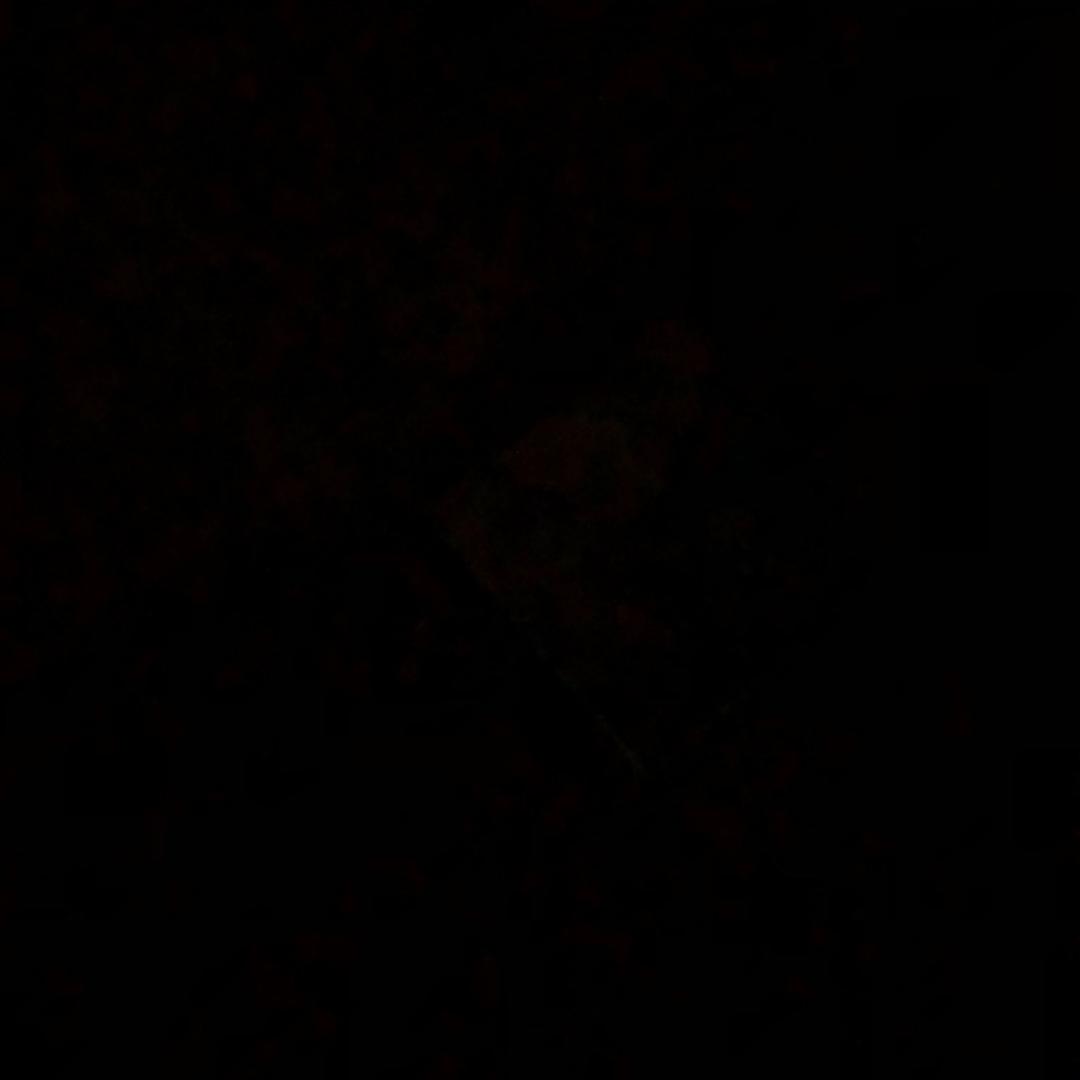 影子