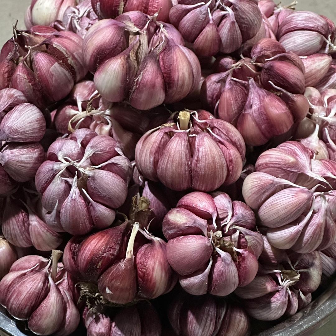 永州首衡城b1-107档生姜大蒜