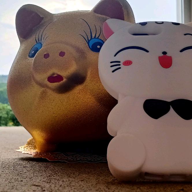 睡着了的猫🐱