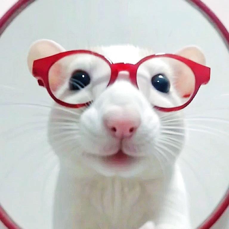 发呆的辣椒炒肉