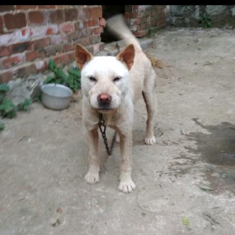 广西桂平市寻旺乡