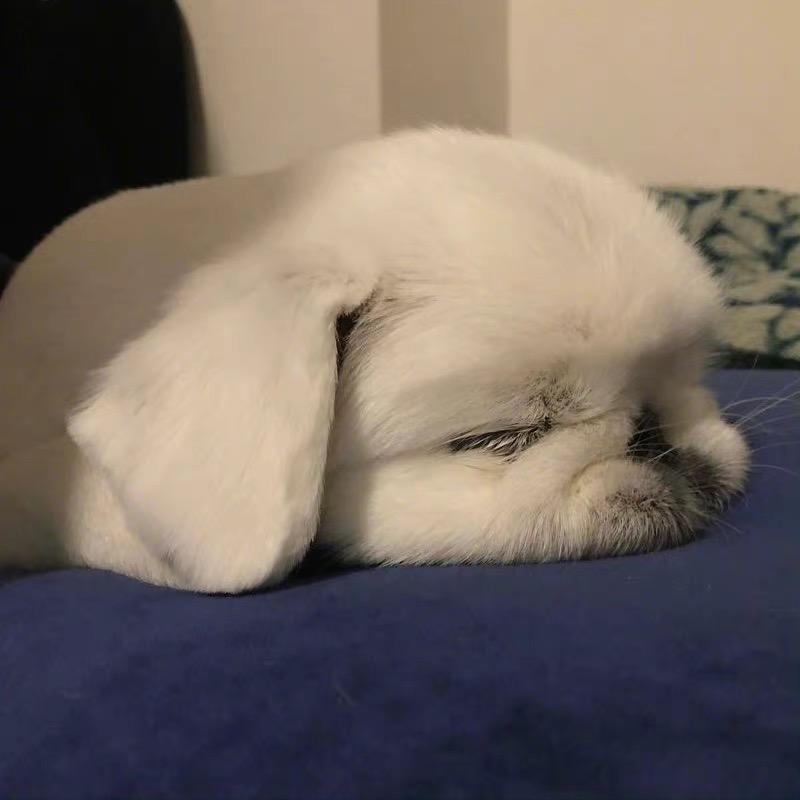 粥一不上班