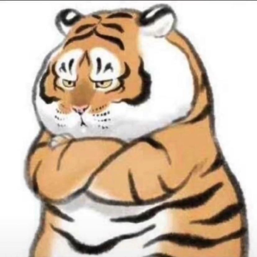 重庆小包收金