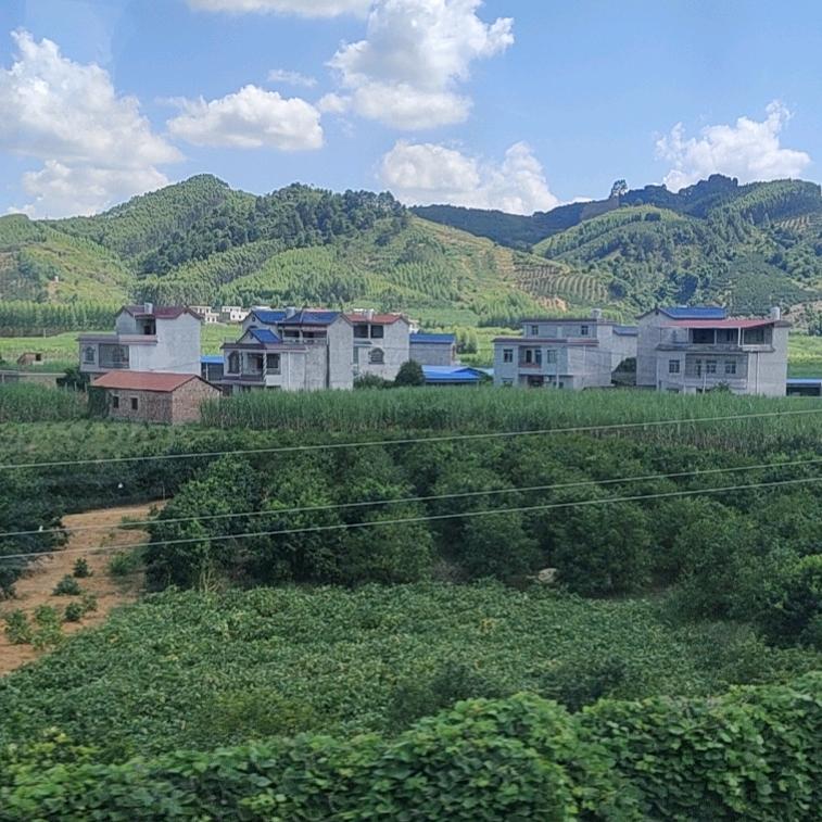 發財宵哥🍎