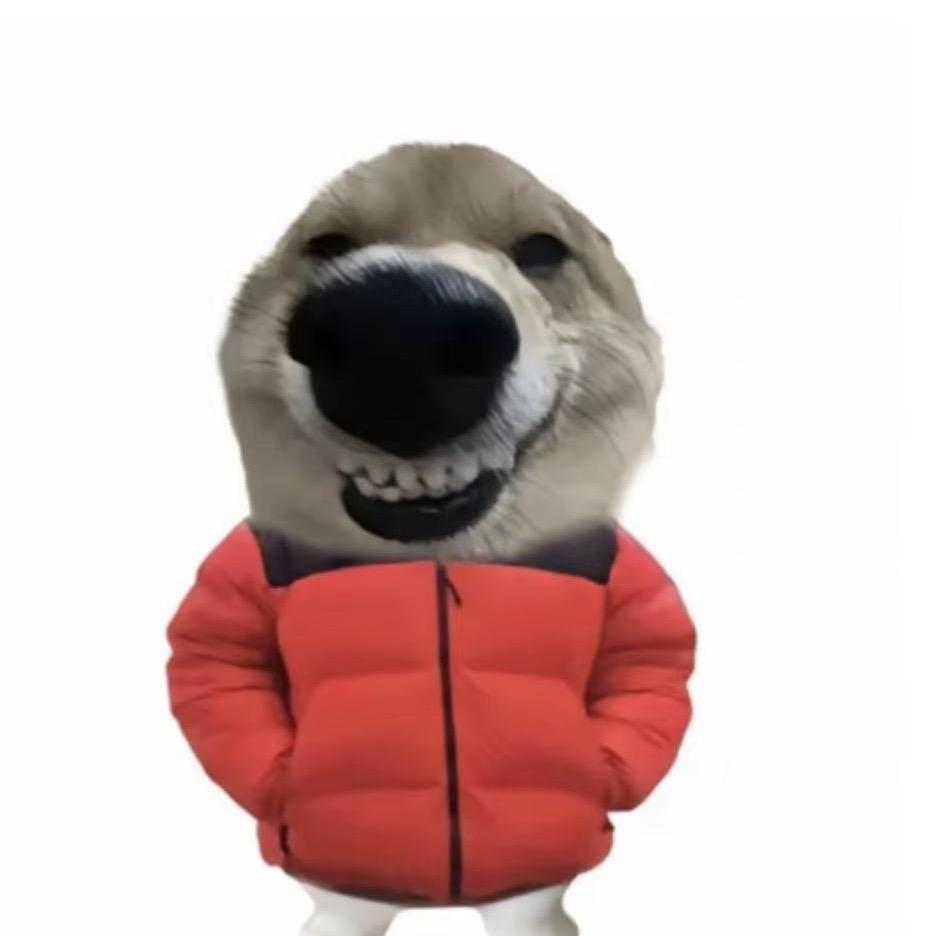 佛山市高明区骋毅百货经营部mmunshozhib直播号