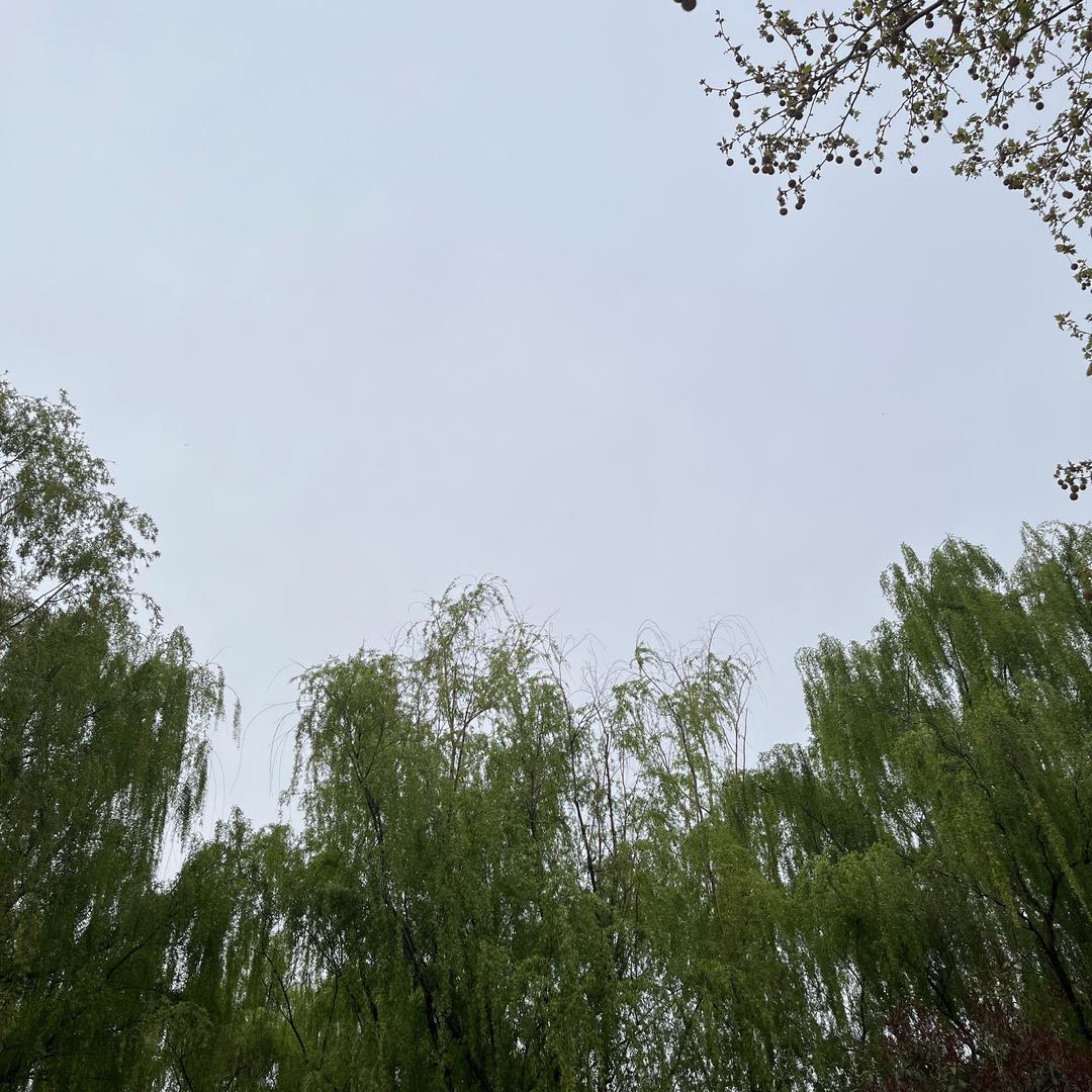 嘻嘻嘻