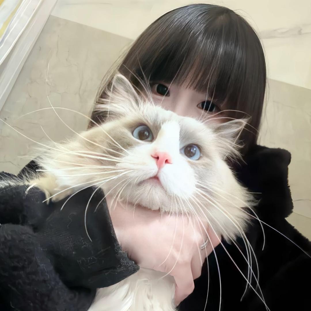 O泡