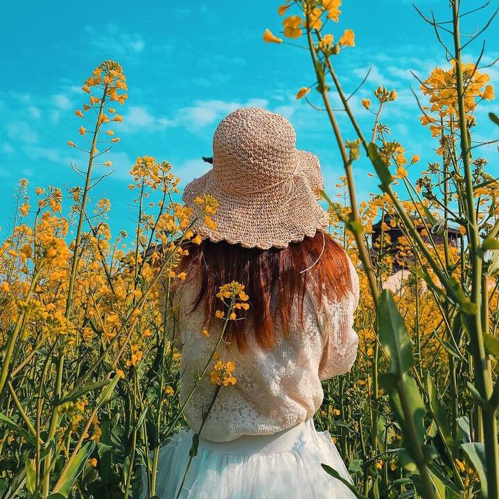 ✨妞妞日常🌼✨