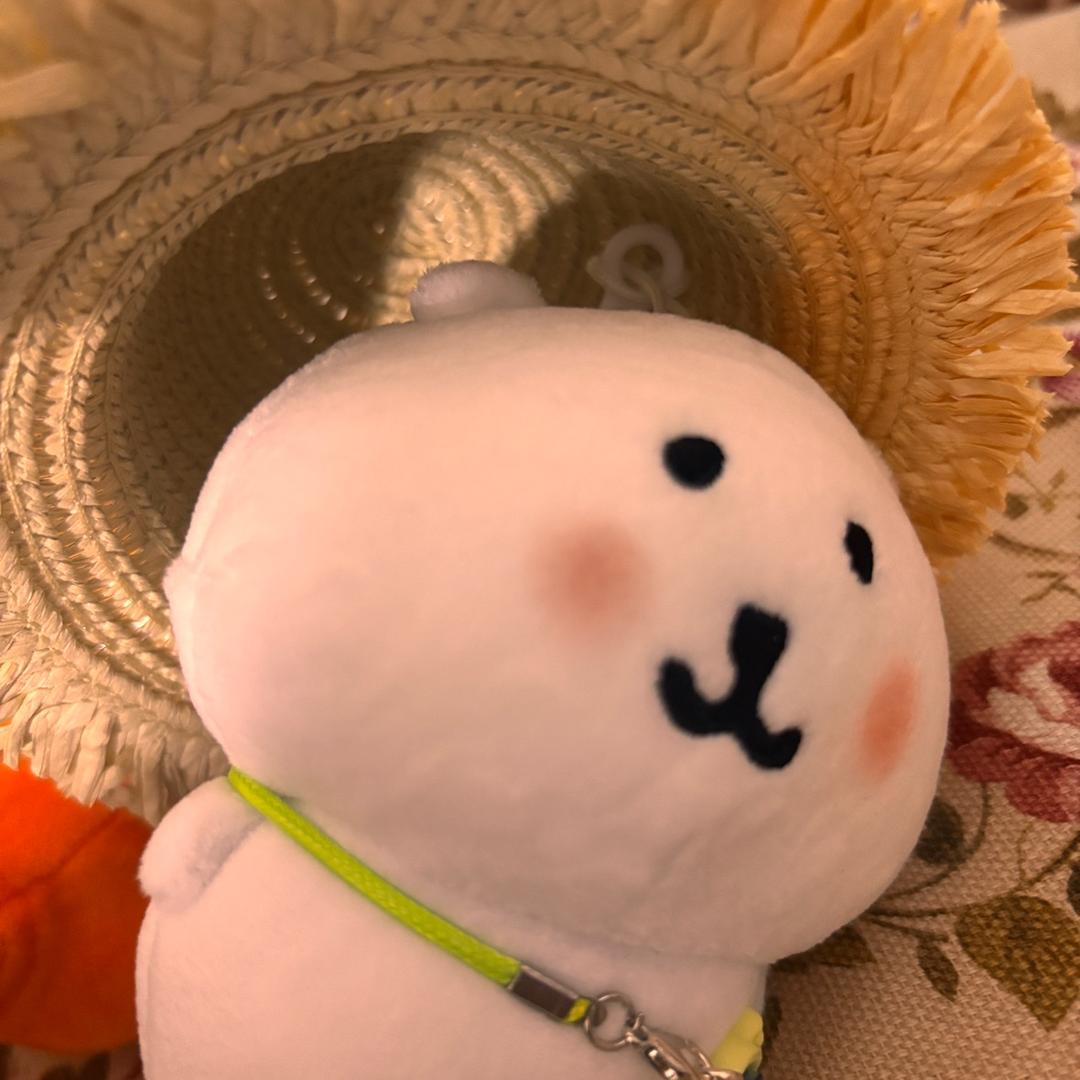 小蕃哥