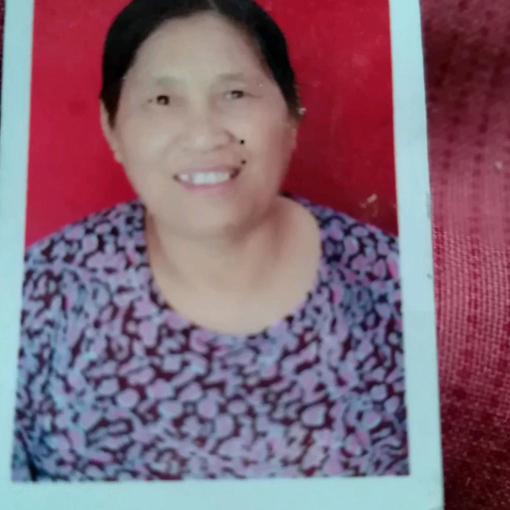 丁连香你的记忆力有点娃娃，在家打工电子是