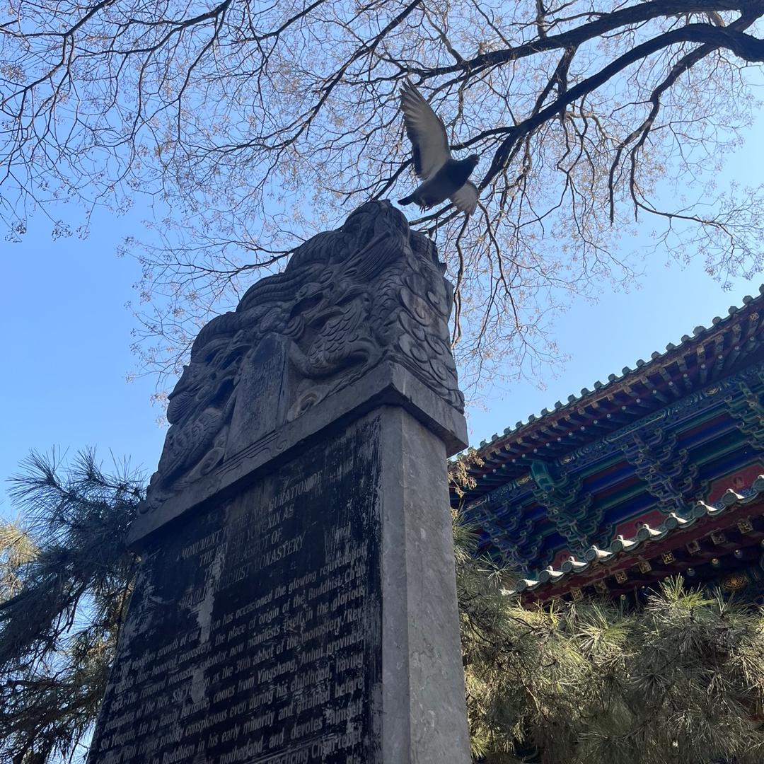 湖北四合网络科技有限公司子分公司