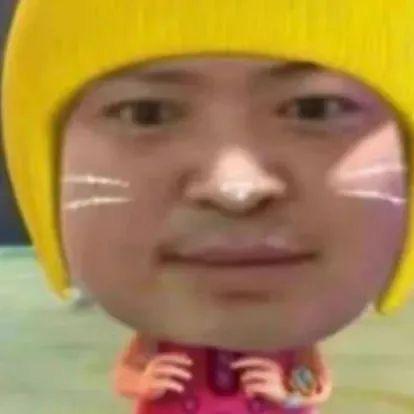 砖家