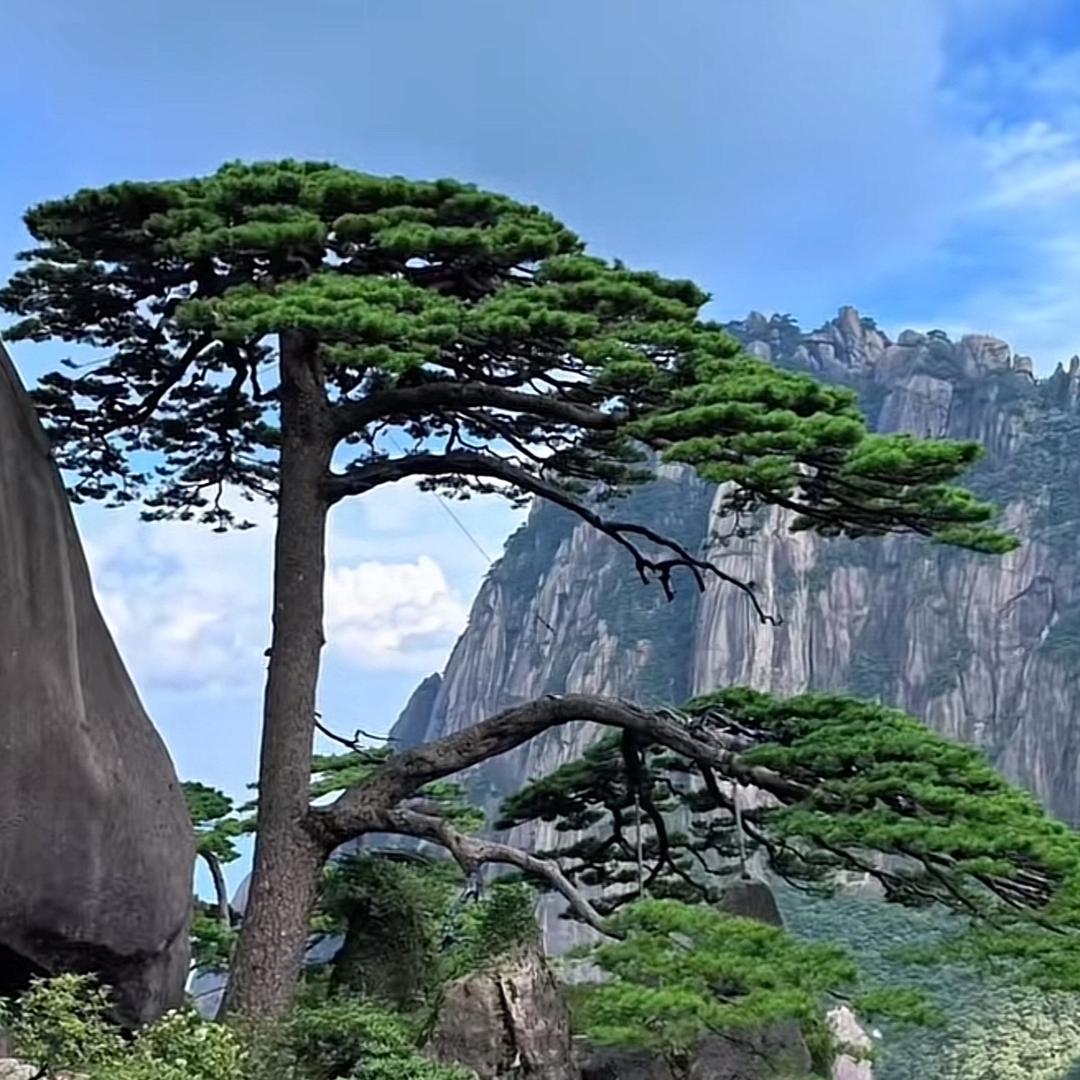 滴滴小哥