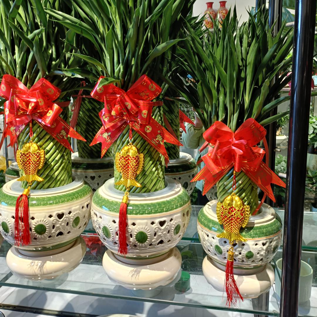 平遥～张一绝（全英）