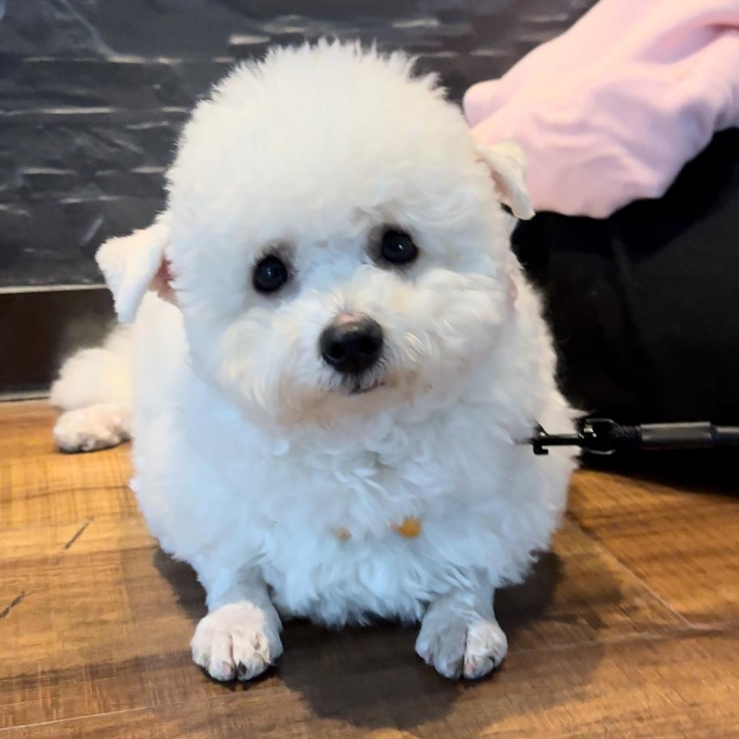 小智的失业生活
