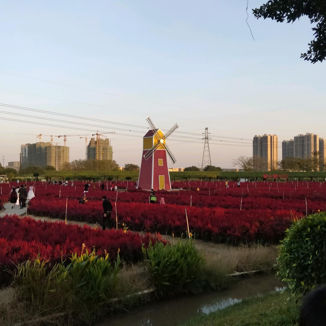 芳草凄凄