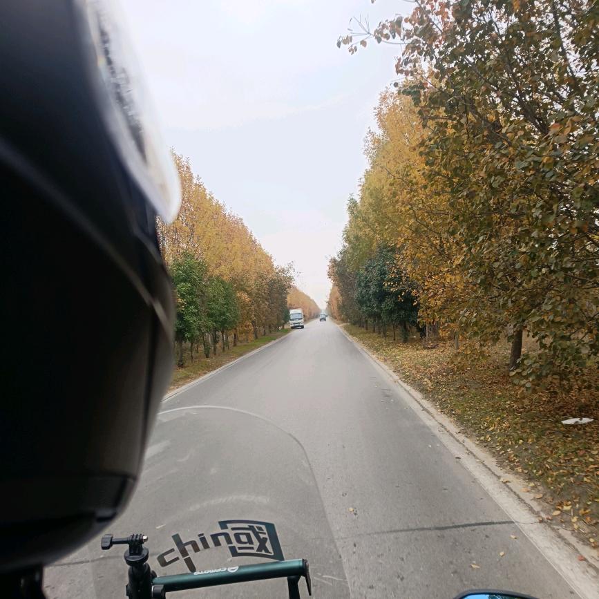 🌈楼下小多奇遇记