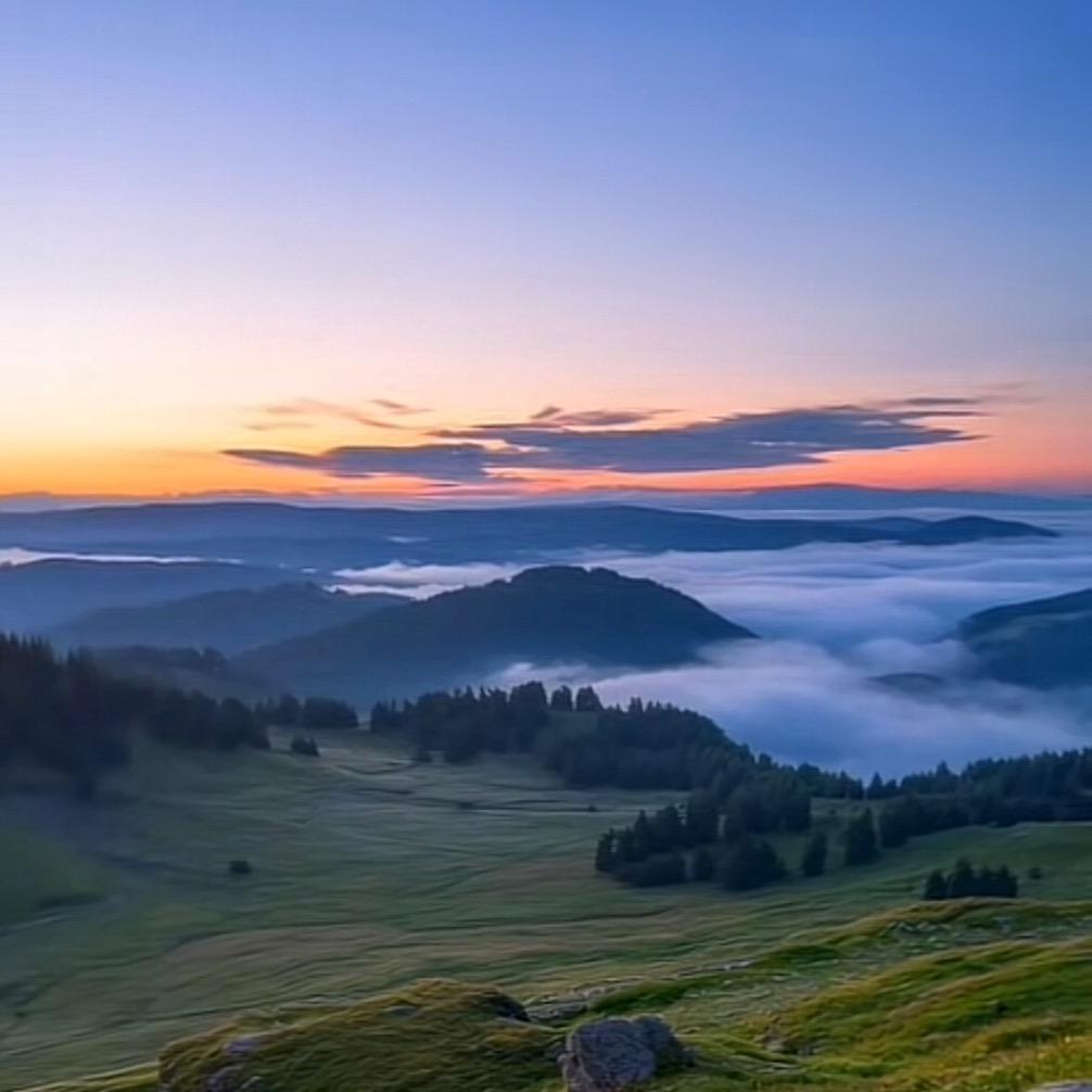 宏祁商元元宠粉号