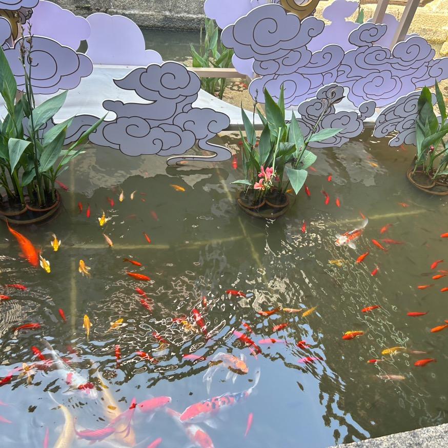 六品书院（知识城校区）