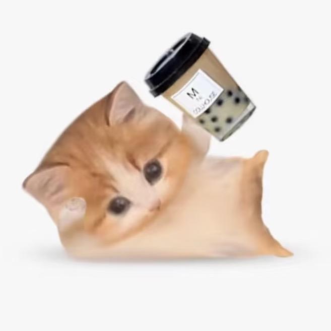 一颗小芝米🧀
