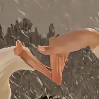 乐叶梓网络科技有限公司