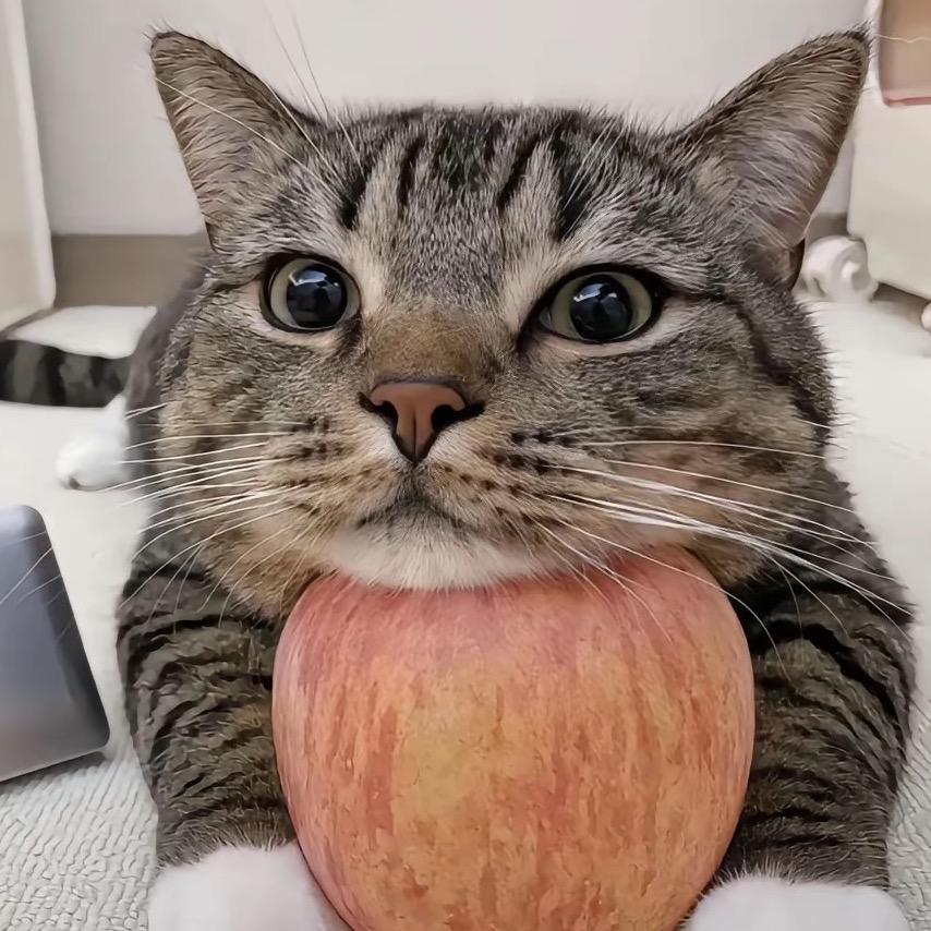 妞妞不爱吃苹果