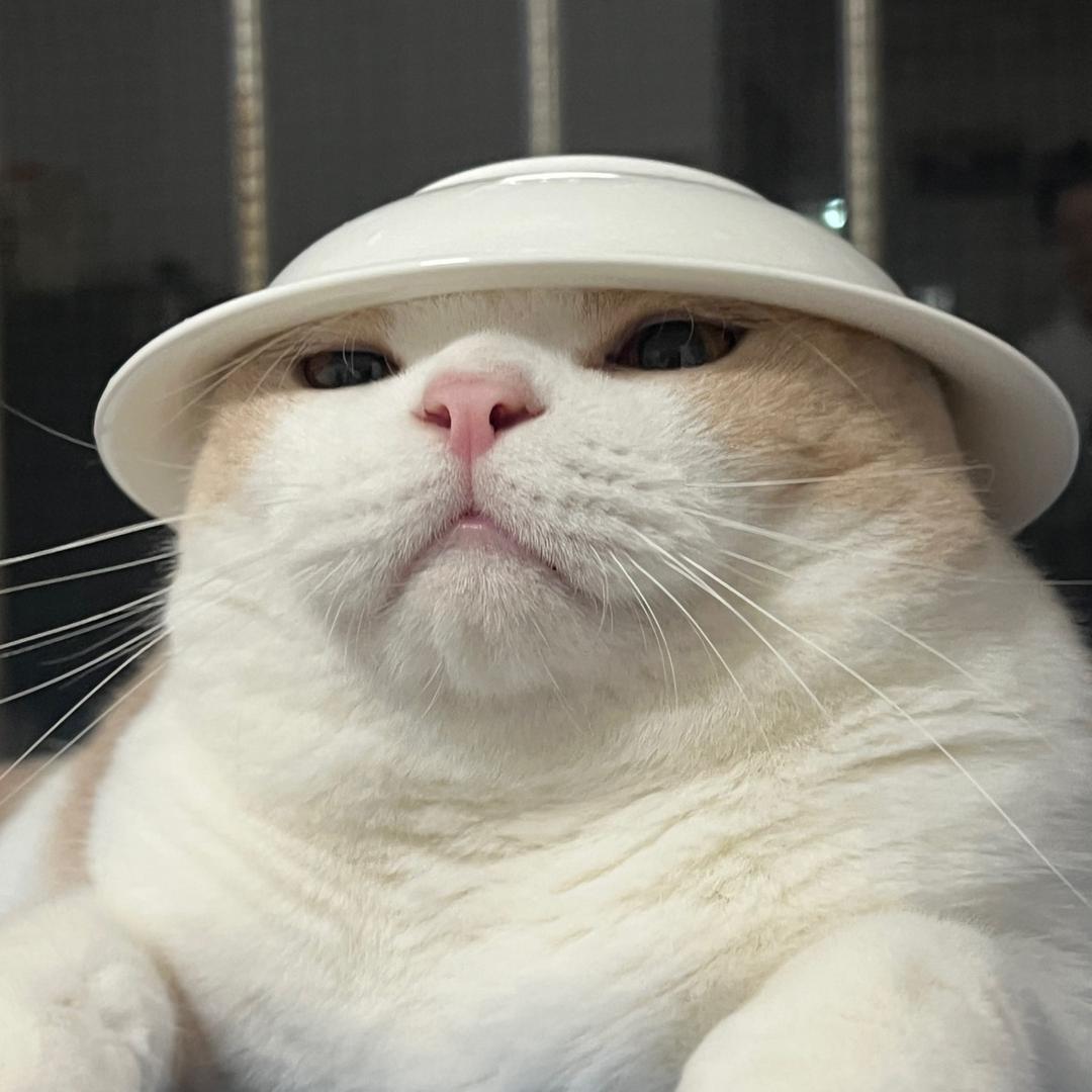 年年有姨