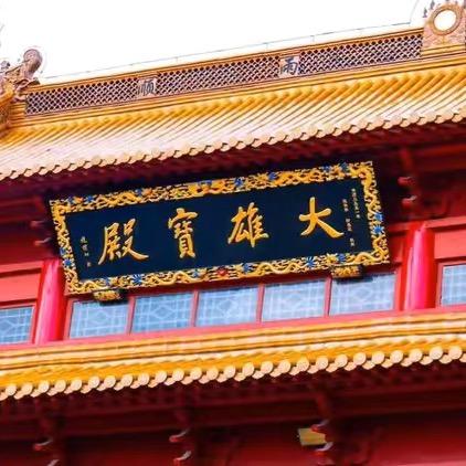 鼎诚和科技直播550号