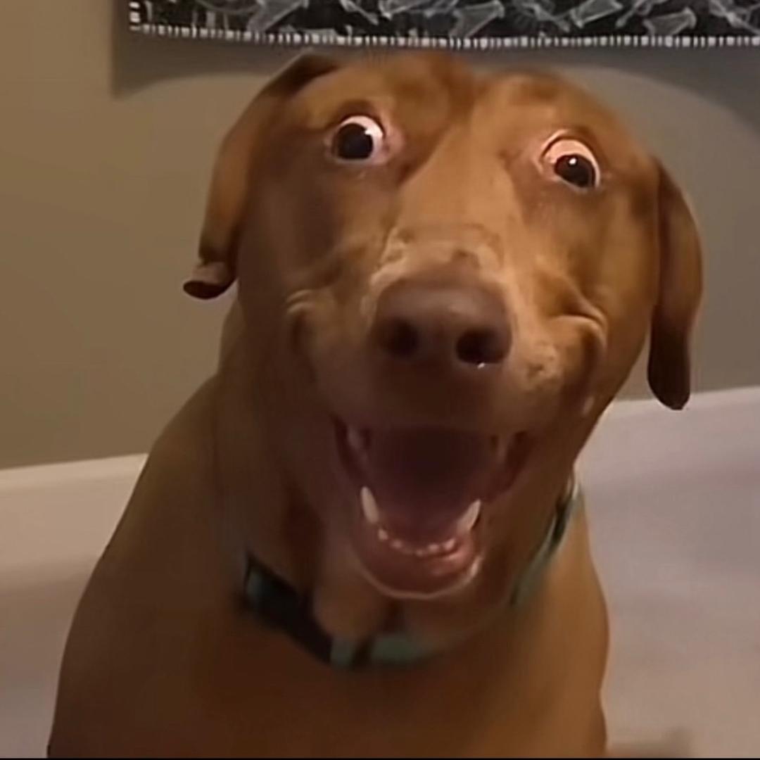 🌈年年有鱼🐰