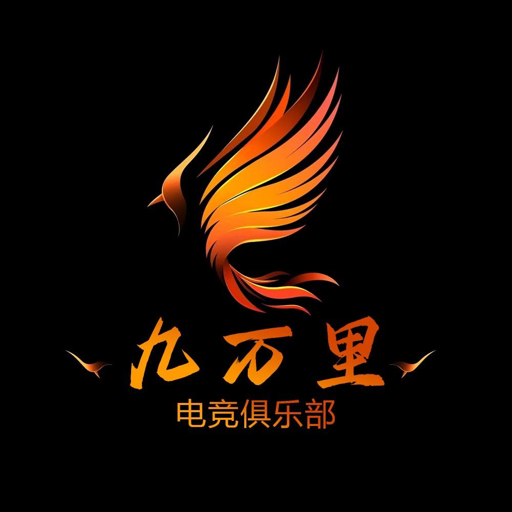 九万里电竞