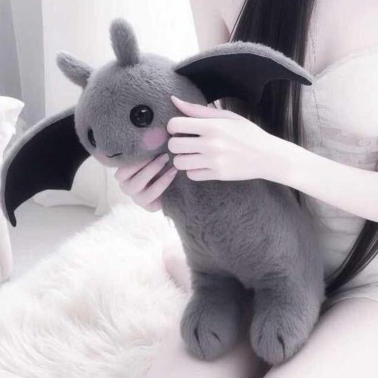 🧚‍♀️女明昕~⭐️