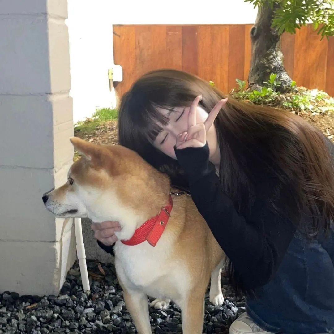 小野棉探房