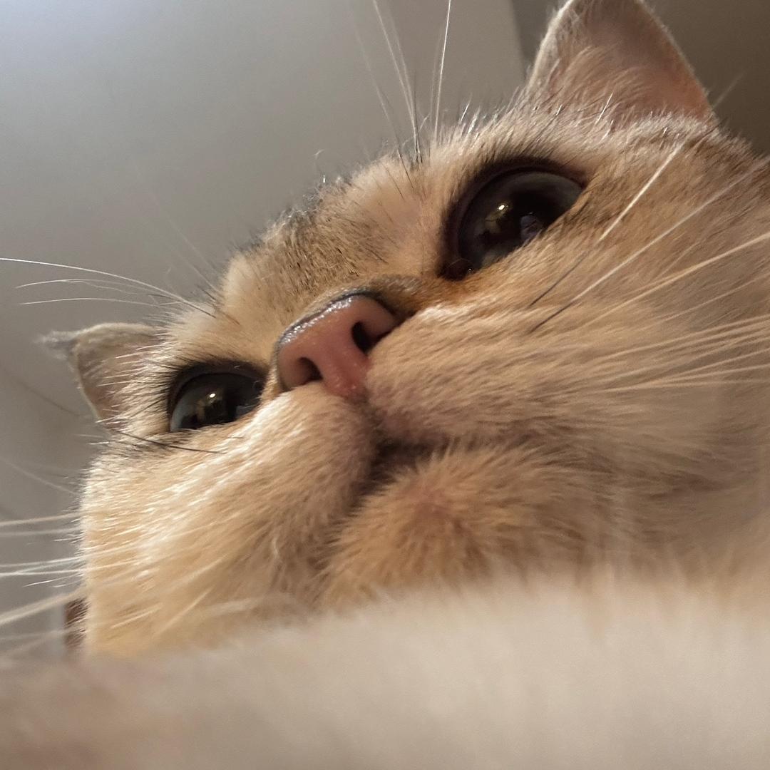 疯狂小熊.