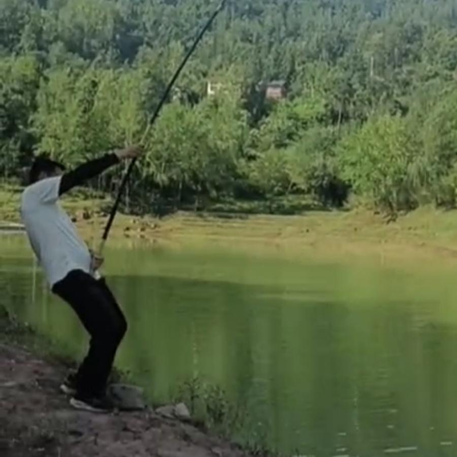 宝哥