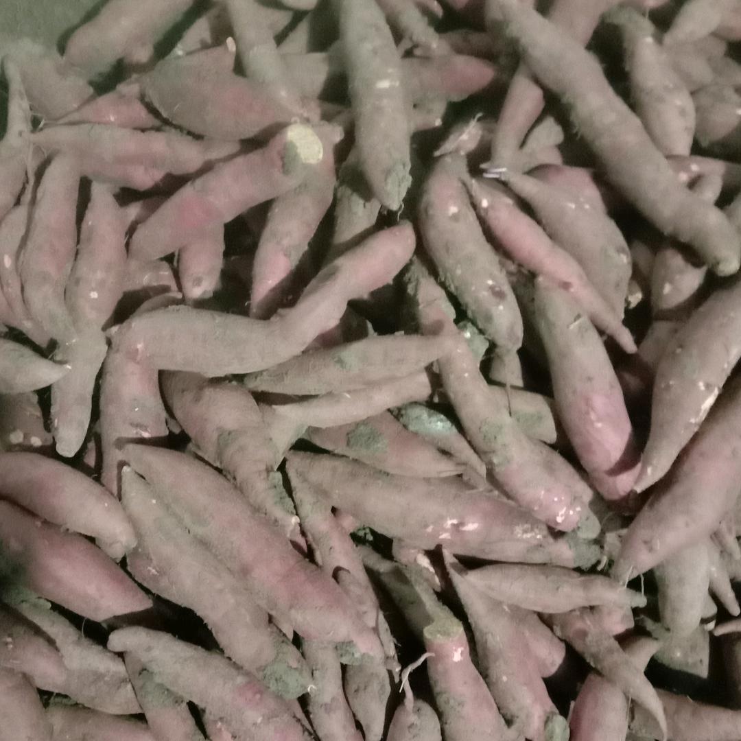 用户2663470120319