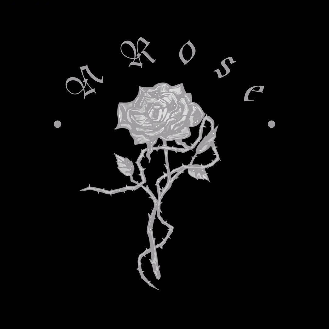 夜蔷薇NRose